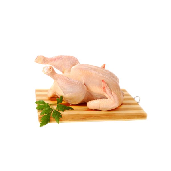 CHICKEN - Image 3