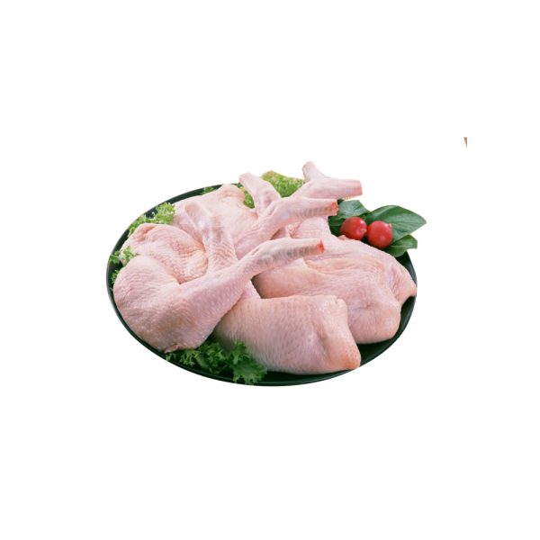 plain chicken meat - Image 3